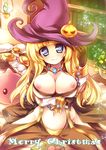  blonde_hair blue_eyes breasts cleavage hat large_breasts long_hair looking_at_viewer merry_christmas mini_koala nipples plant potted_plant ragnarok_online sitting solo sparkle warlock_(ragnarok_online) witch_hat 