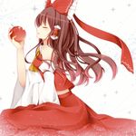  apple bare_shoulders brown_hair detached_sleeves food from_side fruit hair_tubes hakurei_reimu highres holding long_hair solo touhou yuzuki_(blossom) 