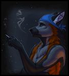  bandanna canine cigarette ear_piercing fox grey_fox male mammal night outside piercing smoking solo spottyjaguar 