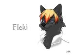  blue_eyes canine eyewear female fleki_(character) glasses koul mammal plain_background portrait smile solo white_background wolf 