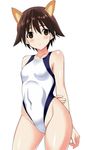  animal_ears arms_behind_back blush brown_eyes brown_hair competition_swimsuit highleg highleg_swimsuit kyougoku_shin looking_at_viewer miyafuji_yoshika one-piece_swimsuit open_mouth short_hair solo strike_witches swimsuit world_witches_series 