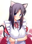  aida_takanobu animal_ears black_hair blush breasts cat_ears large_breasts maid original solo 