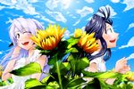  asatana blue_hair cloud day flower furude_rika hanyuu happy higurashi_no_naku_koro_ni horns long_hair multiple_girls purple_hair sky sunflower 