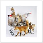  ambiguous_gender canine feral fox mammal photo plushie proper_art real rod_mcrae shopping_cart taxidermy 