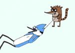  avian bird blue_jay chocolate choking cute eating feathers fur licking male mammal mordecai plain_background raccoon regular_show rigby tongue unknown_artist white_background wire 