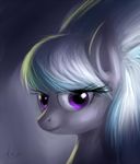  equine female feral friendship_is_magic hair horse looking_at_viewer mammal my_little_pony pony portrait purple_eyes raikoh-illust solo two_tone_hair 