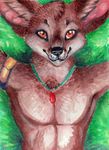  brown_fur canine fennec fox fur gravewalker lying male mammal necklace nude on_back outside solo 