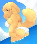  bikini blonde_hair breasts canine chubby clothed clothing dog female hair looking_back mammal mcdonnell-douglas skimpy sky swimsuit water 