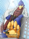  avian belt bird blue_eyes canine clothing eclipsewolf falco_lombardi feathers fox fox_mccloud fur gay hindpaw jacket macro male mammal neckerchief nintendo pants paws shirt star_fox video_games 