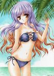  :o bad_id bad_pixiv_id bandeau beach bikini blonde_hair blush breasts brown_eyes brown_hair cleavage day hijiri_byakuren large_breasts long_hair looking_at_viewer multicolored_hair navel palm_tree purple_hair side-tie_bikini solo swimsuit touhou traditional_media tree two-tone_hair yukiou 