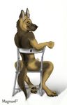  butt canine chair dog german_shepherd gsd hindpaw industrial magnum magnum_(artist) male mammal paws penis piercing sheath smile solo 