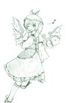  etogami_kazuya green monochrome mystia_lorelei sketch solo touhou wings 