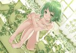  barefoot blush collarbone couch curtains dress dutch_angle feet feet_on_chair green green_eyes green_hair gumi heirou leaf looking_at_viewer plant short_hair sitting solo strap_slip sunlight vines vocaloid window 