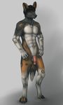  african_wild_dog anthro balls biceps black_hair black_nose brown_fur canine cashen claws dog_tags flaccid fur green_eyes grey_fur hair humanoid_penis male mammal melzi muscles nipples nude pawpads paws pecs penis pose presenting sheath solo standing toe_claws toned vein white_fur 