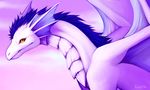  ambiguous_gender blue_hair dragon falvie feral hair orange_eyes purple_theme scalie solo white_body wings 