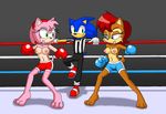  blue_eyes blue_hair boxing boxing_gloves breasts exhibitionism eye_contact female fighting_ring gloves green_eyes hair hedgehog male mammal navel nipples pink_hair public red_hair sally_acorn sega smile sonic_(series) sonic_the_hedgehog topless 