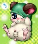  cappy hamtaro tagme 