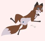  balto foxyxxx tagme trickster 