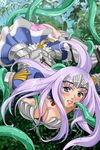  annelotte queen&#039;s_blade tagme 