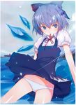  cirno fuyuno_haruaki pantsu techno_fuyuno touhou 