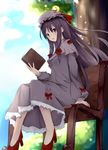  amatsuki_hotaru patchouli_knowledge tagme touhou 