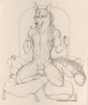  anal anal_insertion anal_penetration animal_genitalia balls canine canine_penis cum cum_taste insertion knot male mammal masturbation nude penetration penis sex_toy shinigamigirl sketch solo vibrator 