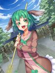  animal_ears bamboo_broom blush broom dress fang ginko_(nico) green_eyes green_hair kasodani_kyouko open_mouth short_hair solo touhou upper_body 