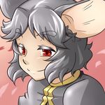  animal_ears capelet face grey_hair mouse_ears mutsuki_(tsugaidanuki) nazrin petals red_eyes short_hair smile solo touhou 