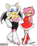  &lt;3 amy amy_rose anthro areola bat big_breasts breasts camel_toe clothing color colored dress duo erect_nipples female hair hedgehog looking_at_viewer mammal multi_breast multi_pussy nipples rogue_the_bat rose rouge_the_bat sega sonic_(series) tight_clothing triple_breast vkyrie wings 