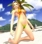  3d beach blonde_hair breasts dead_or_alive dead_or_alive_xtreme_beach_volleyball kneeling large_breasts official_art palm_tree swimsuit tecmo tina_armstrong tree 