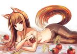  animal_ears apple breasts brown_hair brown_legwear food fruit holding holo long_hair looking_at_viewer lying medium_breasts navel on_side pantyhose parted_lips red_eyes saimon_ma solo spice_and_wolf stomach tail topless wheat wolf_ears wolf_girl wolf_tail 