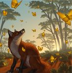  annoying_watermark arthropod butterfly canine feral fox insect mammal sitting smile solo sunrise tree warm_colors watermark wolf-nymph wood yellow_eyes 