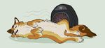  ambiguous_gender canine cute drooling fan feral fox heater lying mammal relaxing saliva sleeping smile solo spit temperature wolf-nymph 