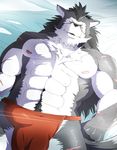  anthro beast bed biceps big_muscles body_markings bulge canine chest_tuft clothed clothing debirobu fur half-dressed lying male mammal markings muscles nipples pecs pose rouen scar shining_(series) shining_force shining_wind solo top_less topless tuft underwear video_games wolf 