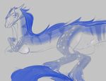  anthro anus blue blue_hair blue_theme breasts chinese_dragon dragon female feral hair hindpaw horn iko non-mammal_breasts paws pussy sketch solo whiskers 