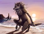  beach canine mammal rocks sand sea seaside sun sunset talliesynn water were werewolf yellow_eyes 