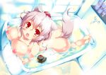  :o animal_ears ass bath bathing bathroom bathtub blush breasts bubble feet from_above hat inubashiri_momiji large_breasts looking_at_viewer nipples nude open_mouth red_eyes rubber_duck short_hair silver_hair solo tail toes tokin_hat touhou water wolf_ears wolf_tail yanagi_yuu 
