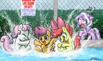  bow cub cutie_mark cutie_mark_crusaders_(mlp) diamond_tiara_(mlp) english_text equine eyes_closed female fence feral friendship_is_magic hair horn horse john_joseco mammal my_little_pony pegasus pony scootaloo_(mlp) sign splash sweetie_belle_(mlp) text tiara two_tone_hair unicorn water wet wet_hair wings young 