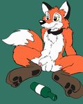  anthro balls beverage bottle canine collar flaccid fox frommer male mammal nude paws penis sheath solo toffee 