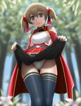  bare_shoulders black_legwear breastplate brown_hair highres looking_at_viewer panties pantyshot red_eyes short_hair short_twintails silica siraha skirt skirt_lift solo sword_art_online thighhighs twintails underwear white_panties 