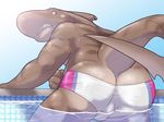 back_turned bent_over booty brown_skin butt ear_piercing fin_piercing fish furry-specific_piercing looking_at_viewer looking_back male marine piercing pool shark solo swimsuit tacodebeef tacoderes topless trunks trunks_(clothing) unknown_artist water watermark 