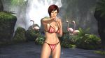  3d bird breasts cleavage clenched_hand dead_or_alive dead_or_alive_5 fist flamingo large_breasts mila_(dead_or_alive) mila_(doa) nature scenery swimsuit tecmo water waterfall 