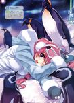  bird blue_eyes blush braid copyright_request earmuffs goggles goggles_on_head jacket misaki_kurehito night night_sky penguin pink_hair sky smile snow solo star 