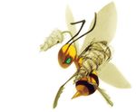  beedrill drill gen_1_pokemon green_eyes md5_mismatch msh no_humans parody pokemon pokemon_(creature) simple_background solo spiral_power tengen_toppa_gurren_lagann white_background 