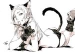 animal_ears ass bikini boots breasts cat_(confidential_assassination_troop) cat_ears cleavage collar confidential_assassination_troop fcp gloves knife knife_licking large_breasts licking licking_weapon solo swimsuit tail tongue 
