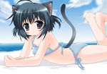  ahoge animal_ears barefoot beach bikini black_eyes black_hair cat_ears cloud day kuromaru lying on_stomach original outdoors polka_dot polka_dot_bikini polka_dot_swimsuit short_hair side-tie_bikini sky solo swimsuit tail 