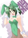  animal_ears blush brown_legwear bunny_ears bunnysuit copyright_request green_hair pantyhose saano_chia solo 