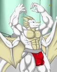  abs altoryu anthro balls biceps big_muscles blue_eyes bodybuilder bulge clothed clothing dragon flaccid flexing gym half-dressed horn jockstrap kairyu211 looking_at_viewer male muscles pecs penis pose scales scalie solo topless underwear weights western_dragon white_dragon wings yellow_horns 