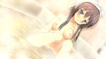  alcot bath bathtub black_hair blue_eyes breasts game_cg hondou_ayano naka_no_hito_nado_inai narumi_yuu nipples nude towel wet 