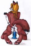  anal anal_beads anal_insertion anal_masturbation anal_penetration anus canine dildo dildo_sitting double_penetration female fox foxene fur hair insertion looking_at_viewer looking_back mammal masturbation nude orange_hair penetration plain_background pussy pussy_juice raised_tail red_fur sex_toy solo vaginal vaginal_insertion vaginal_penetration white_background 